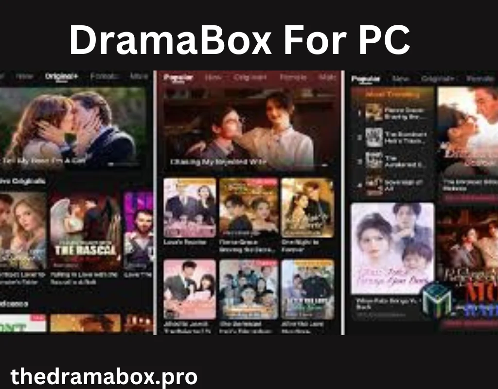 thedramabox.pro 9